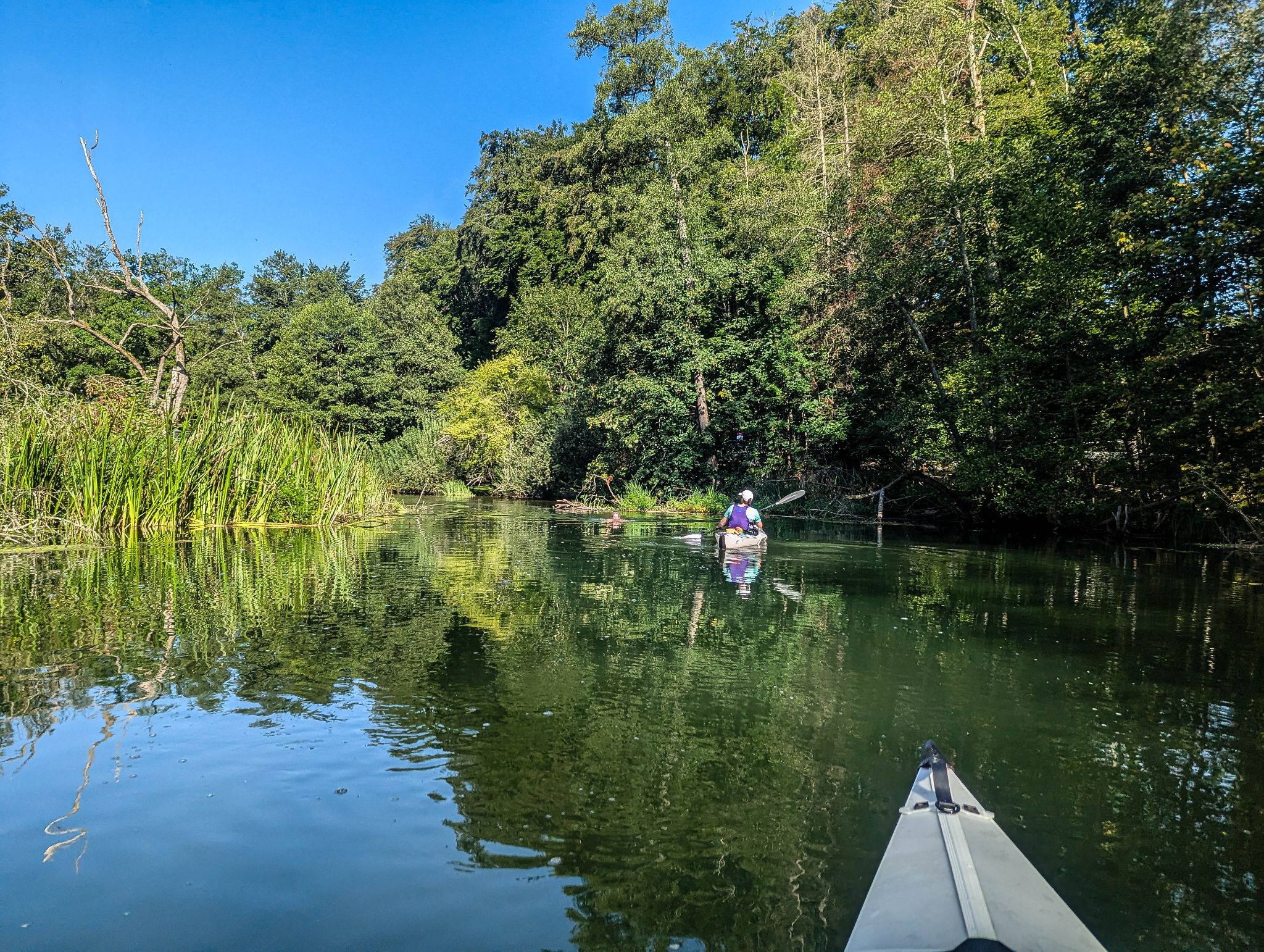 Kajaktour Leutstettner Moos 15.08.2024